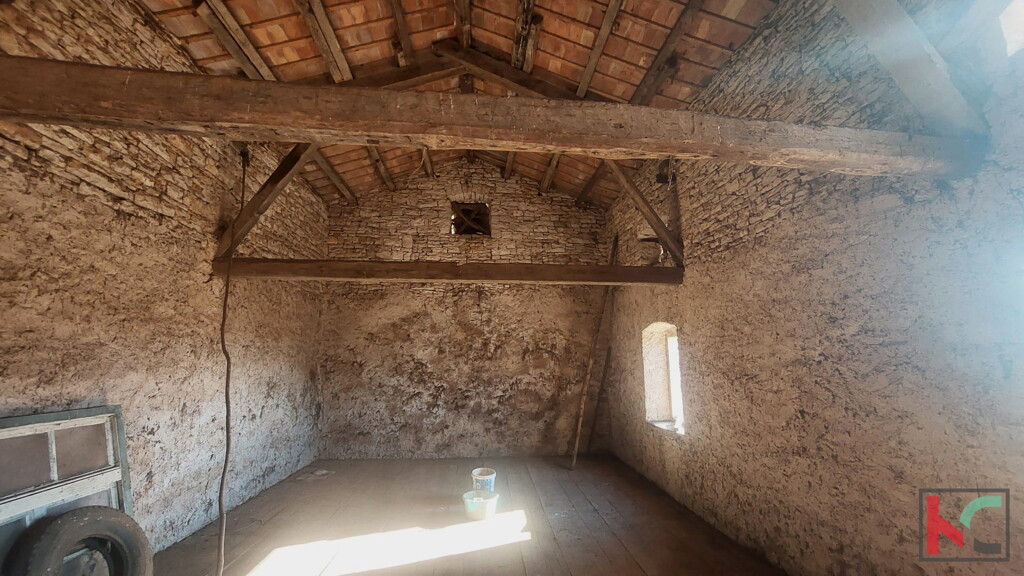 Image 6231090 - 4
