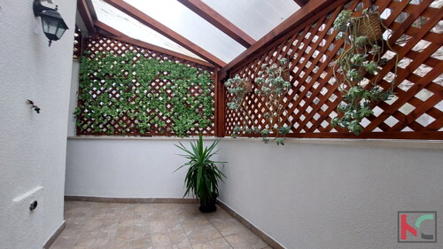 Thumbnail 6231096 - 2