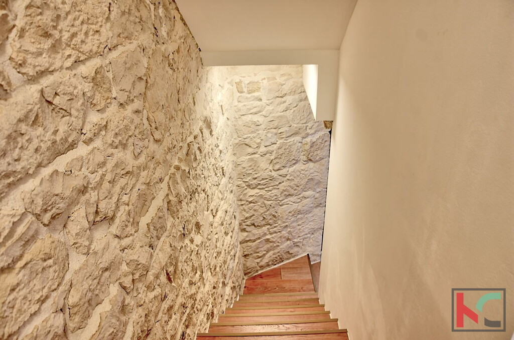 Image 6231098 - 16