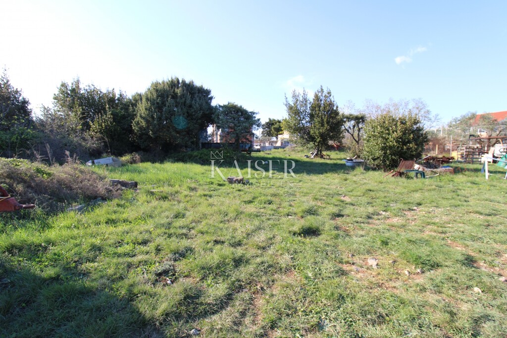 Image 6231127 - 1