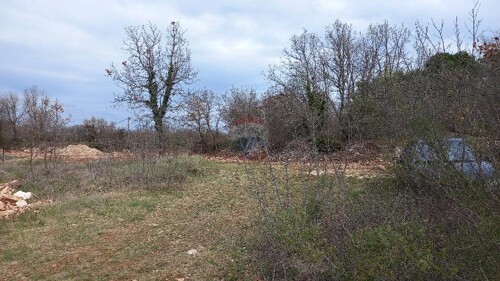 Thumbnail 6231165 - 2