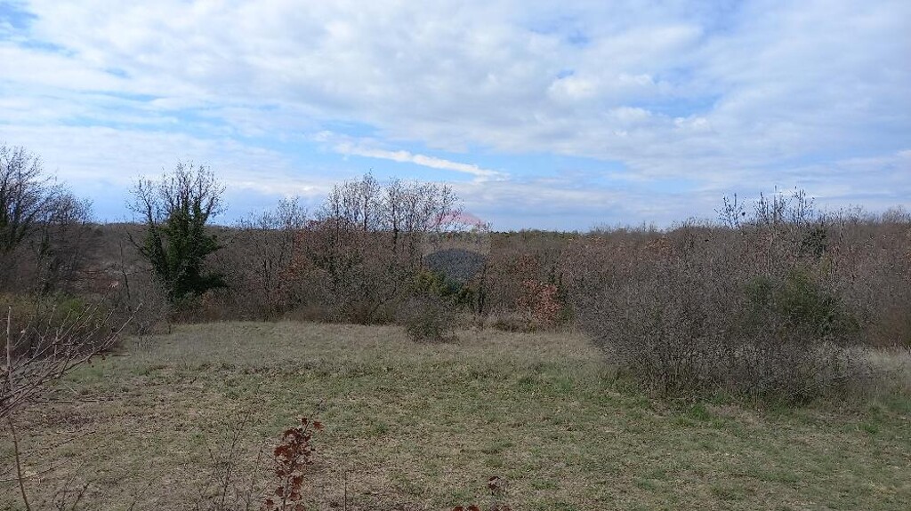 Image 6231165 - 1