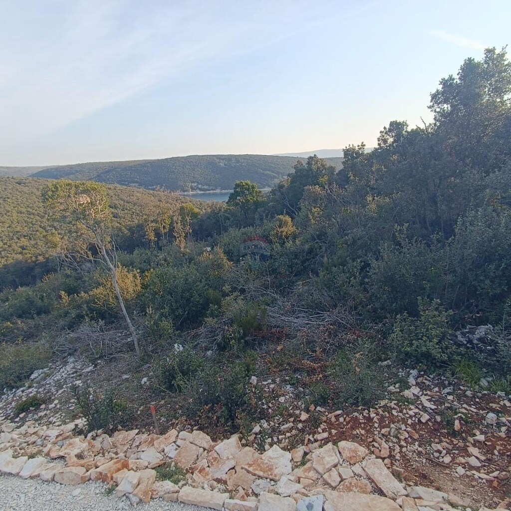 Image 6231171 - 1