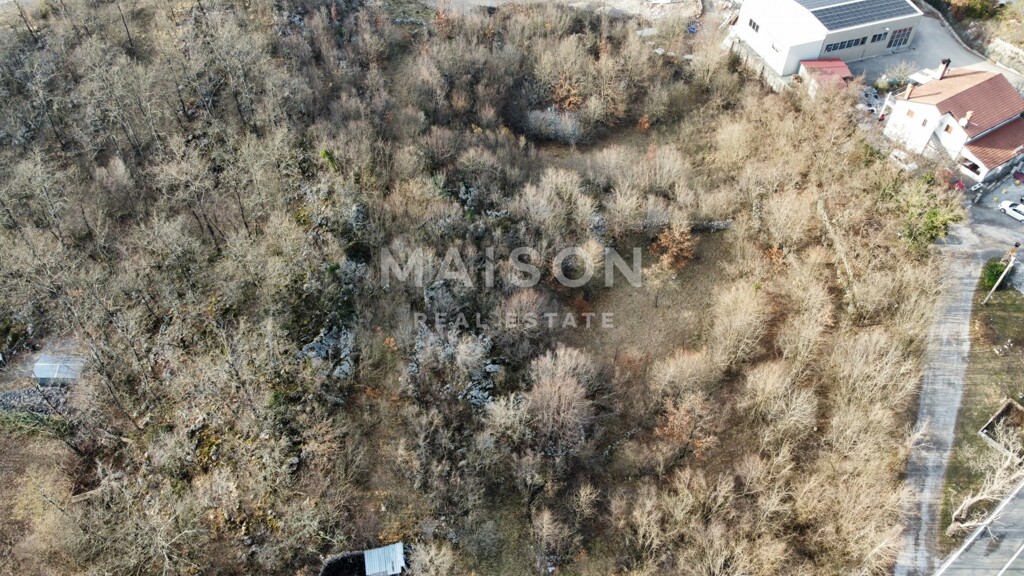Image 6231197 - 7