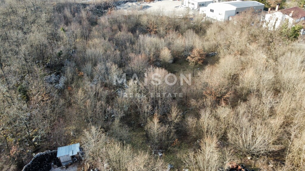 Image 6231197 - 5