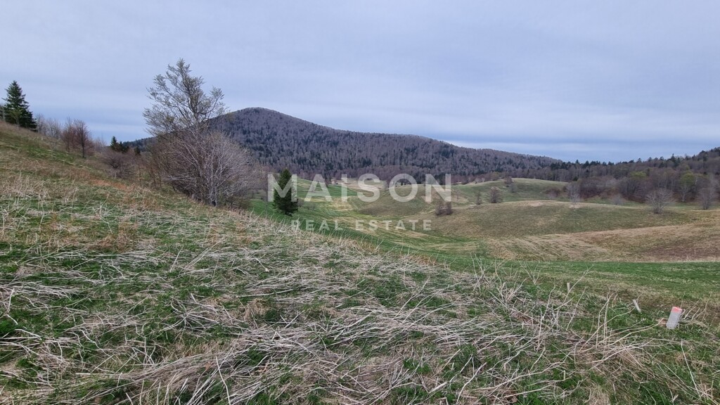 Image 6231233 - 9