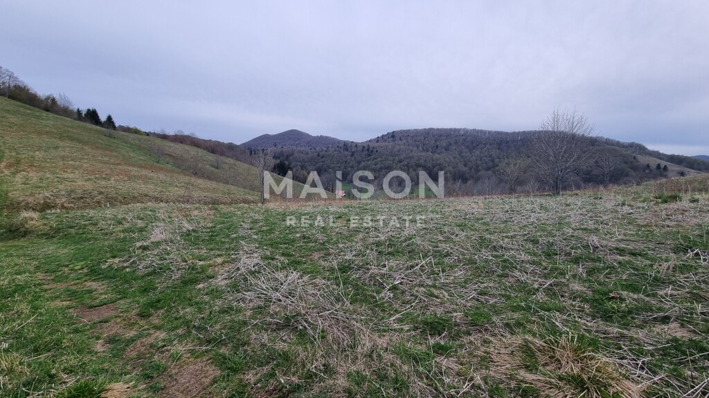 Image 6231233 - 8