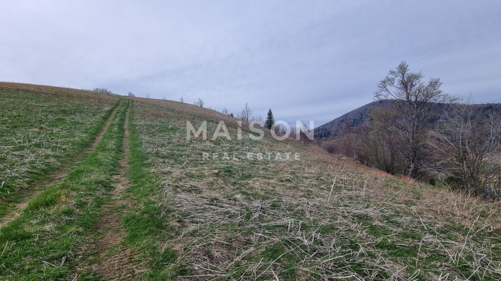 Image 6231233 - 10
