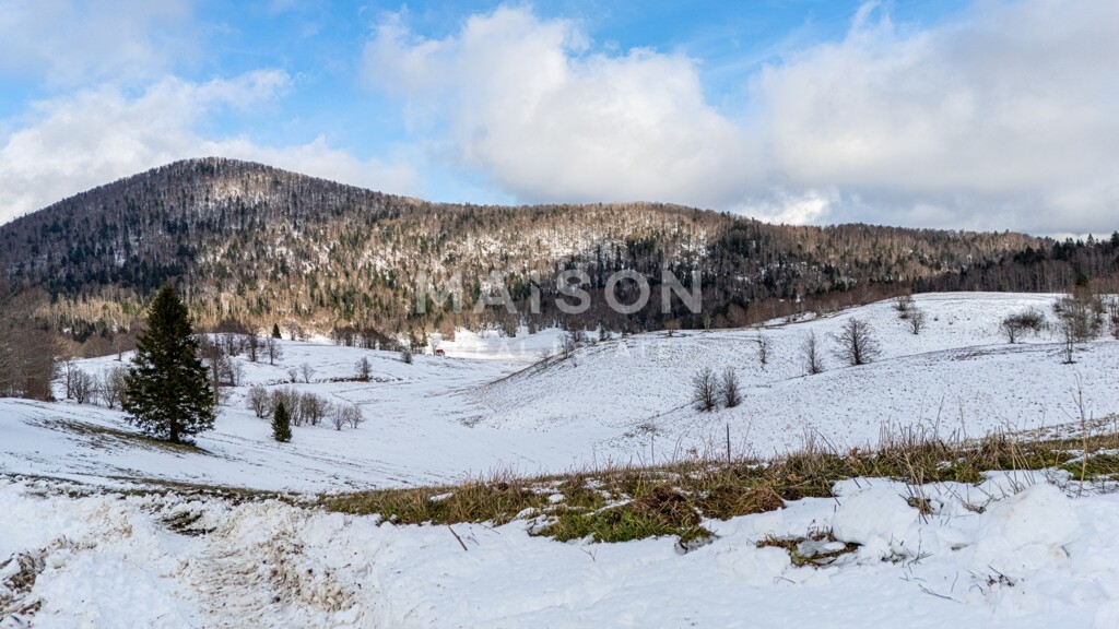 Image 6231233 - 1