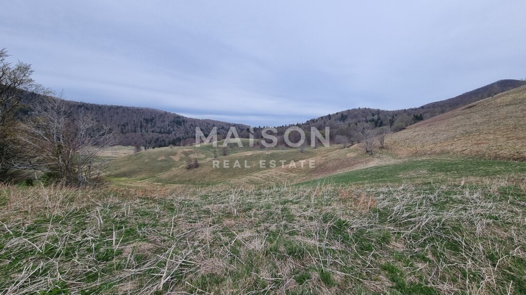 Image 6231233 - 7
