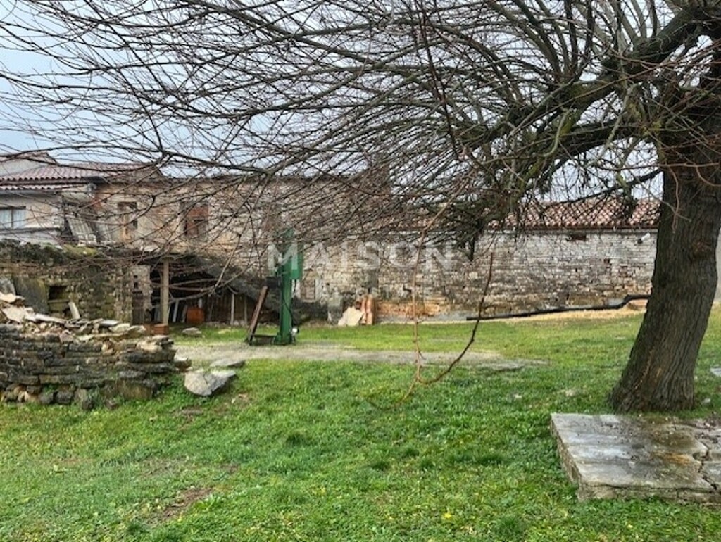 Image 6231250 - 7