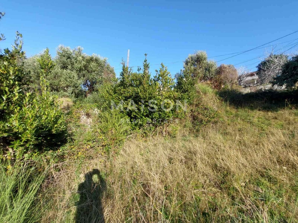 Image 6231256 - 2