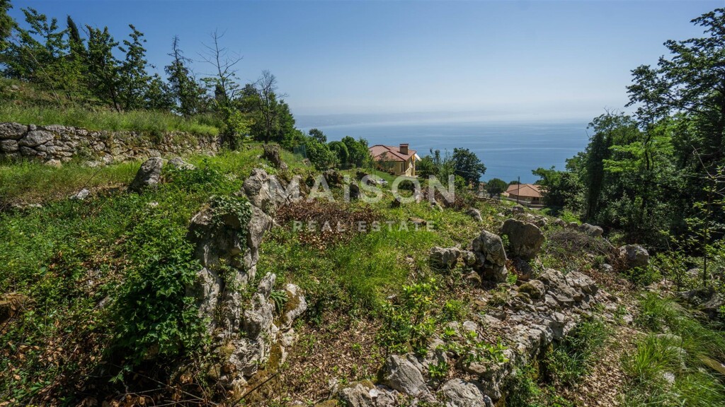 Image 6231257 - 4