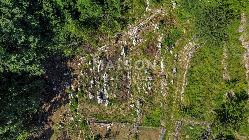 Image 6231257 - 3