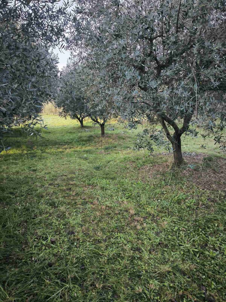 Image 6231280 - 3