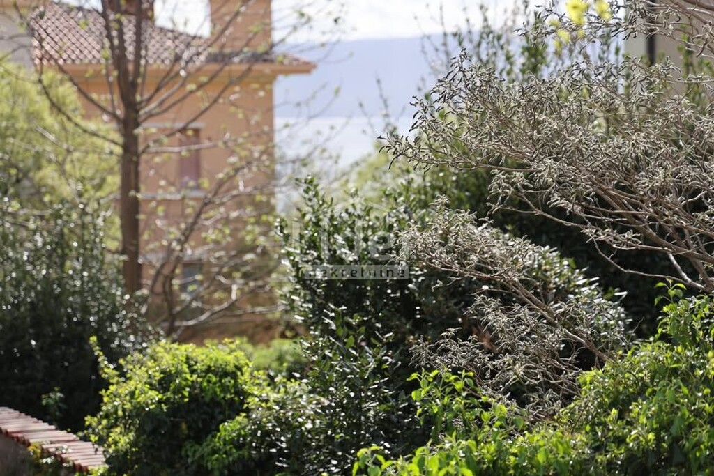 Image 6231771 - 18