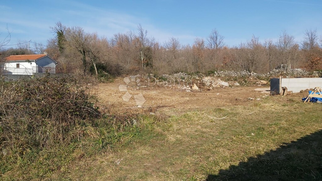 Image 6231779 - 4