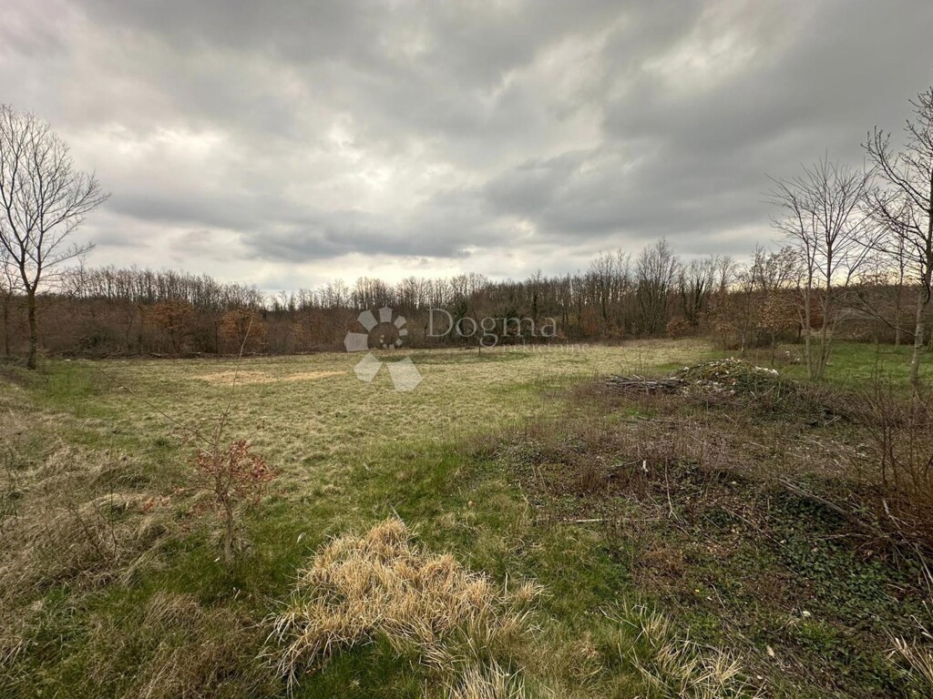 Image 6231786 - 4