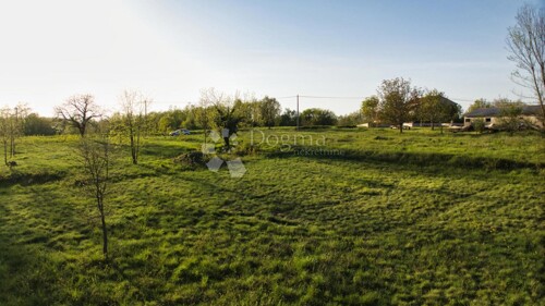 Thumbnail 6231786 - 1