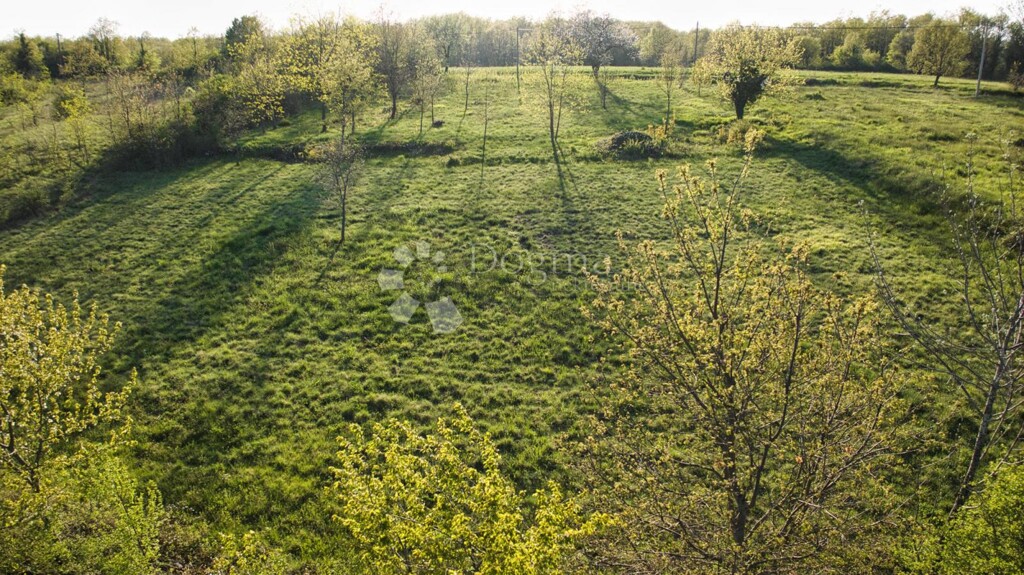 Image 6231786 - 2