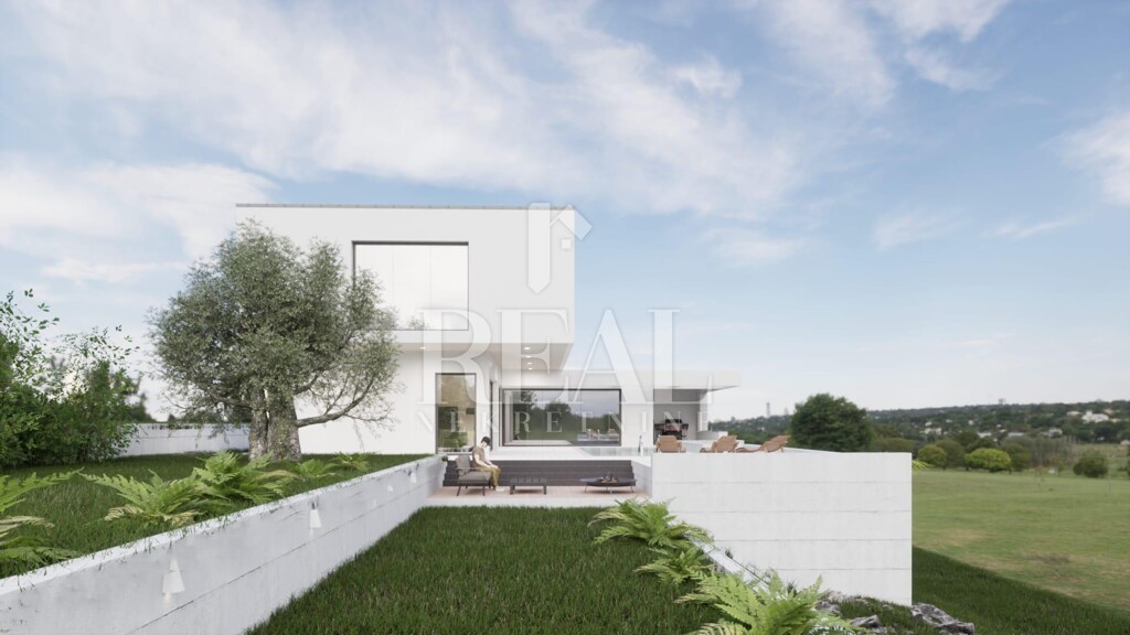 Image 6231825 - 4