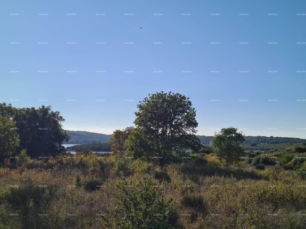 Image 6231836 - 1