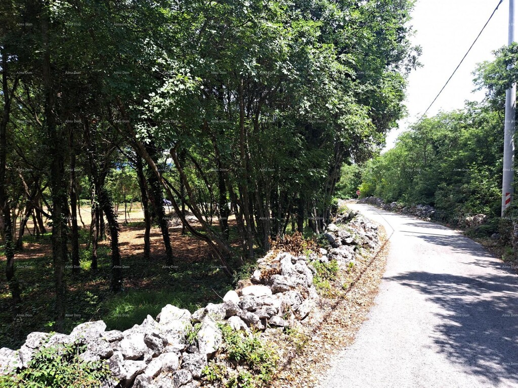 Image 6231859 - 2