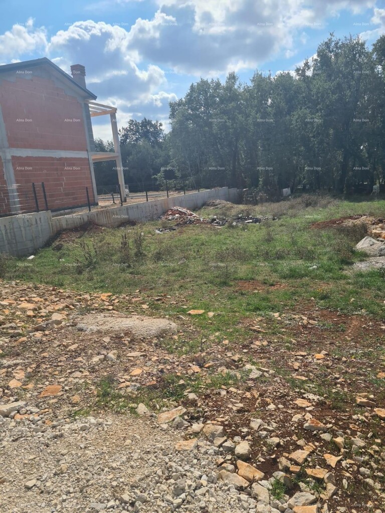 Image 6231863 - 5