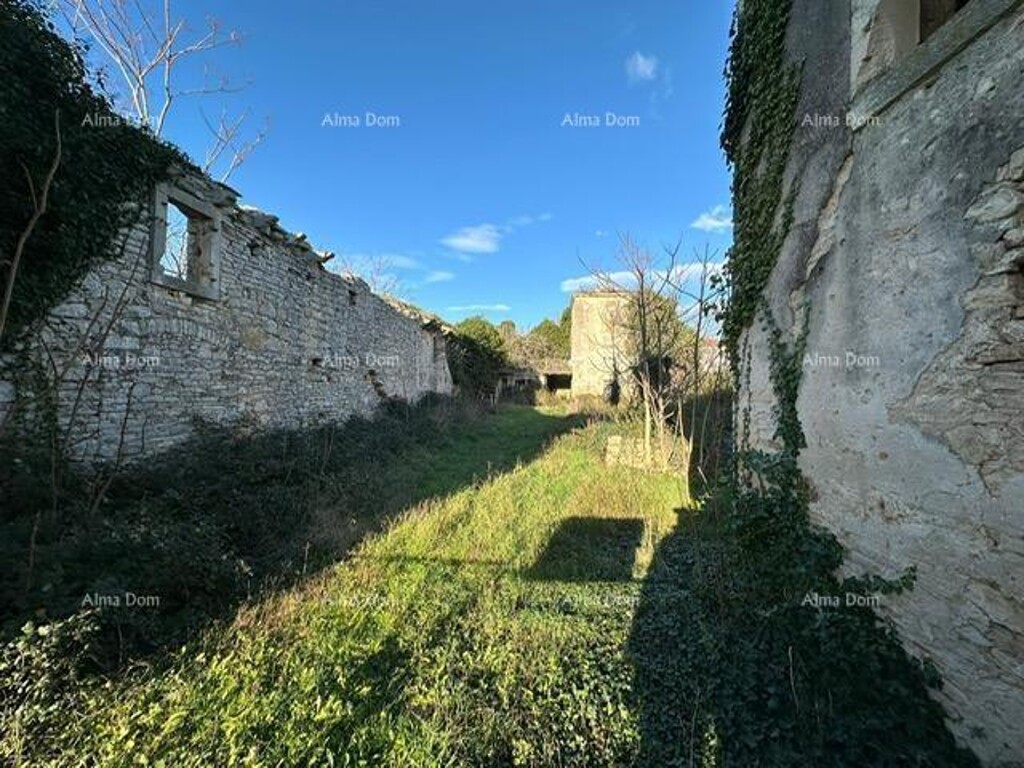 Image 6231869 - 6