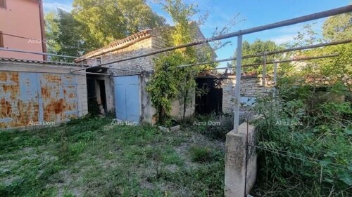 Thumbnail 6231876 - 5