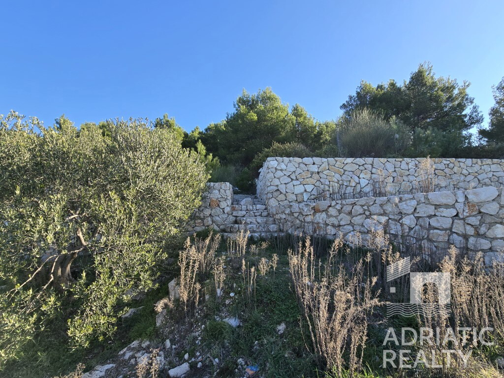 Image 6231939 - 7