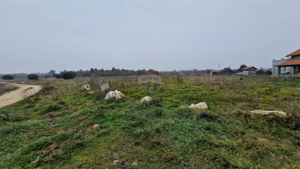 Image 6232119 - 2