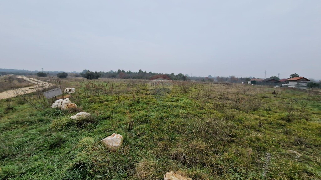 Image 6232119 - 1