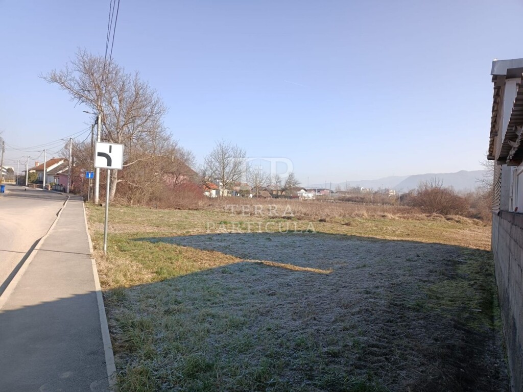 Image 6232314 - 1