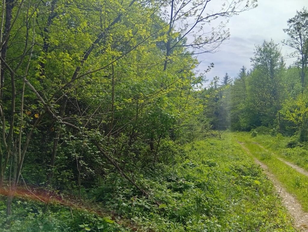 Image 6232317 - 2