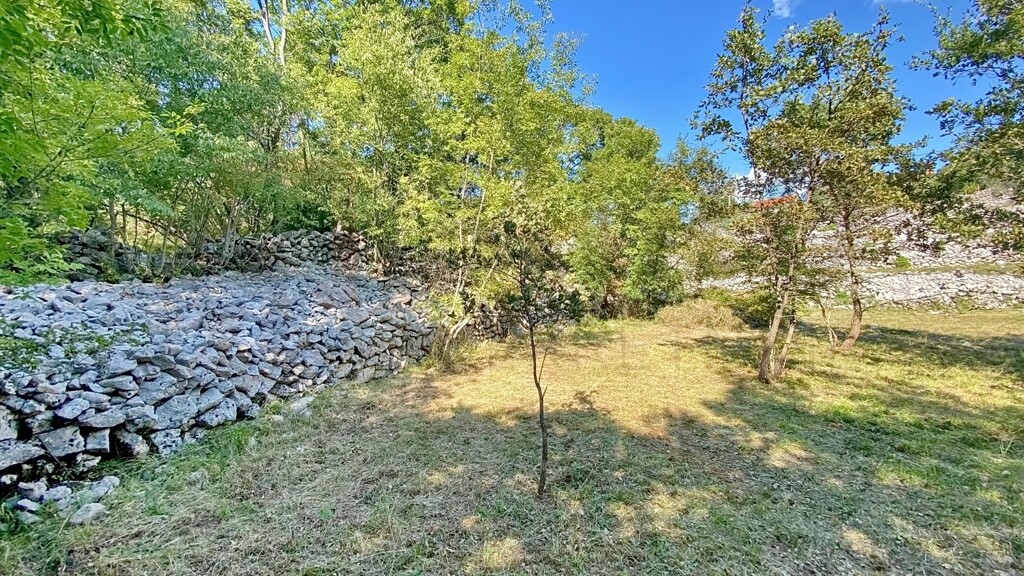 Image 6232358 - 5