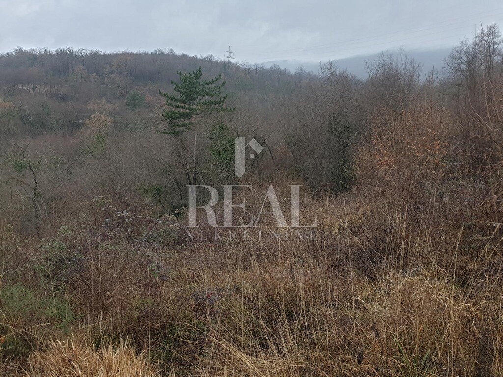 Image 6232397 - 21