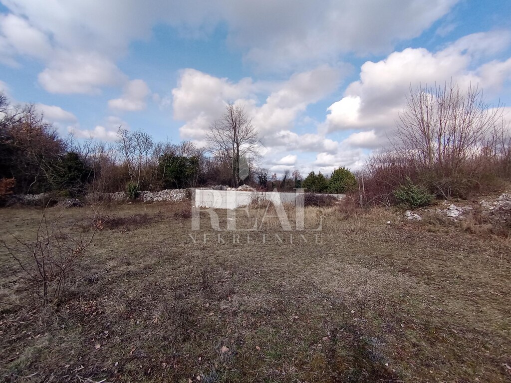 Image 6232400 - 3