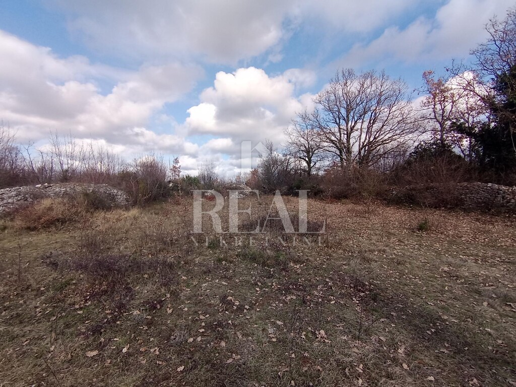 Image 6232400 - 11