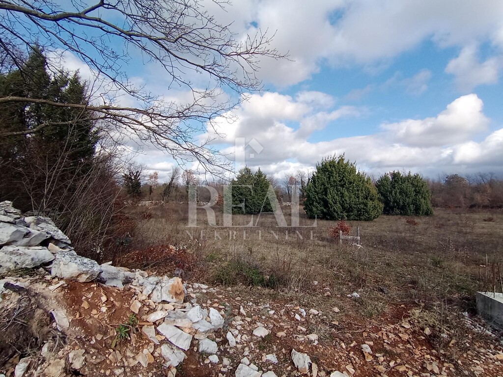 Image 6232400 - 7