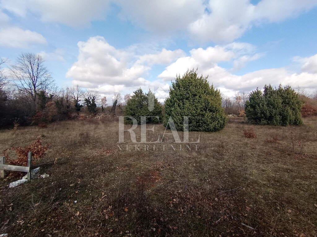 Image 6232400 - 6