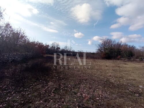 Thumbnail 6232400 - 13