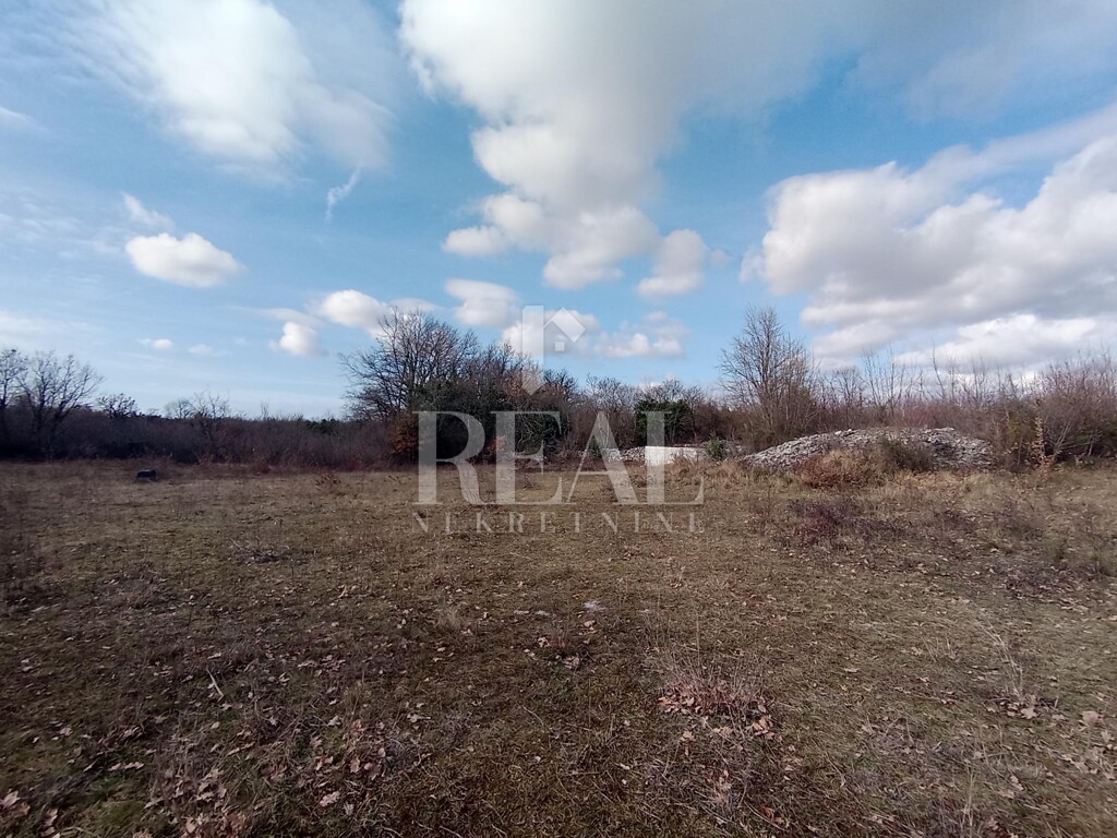 Image 6232400 - 12