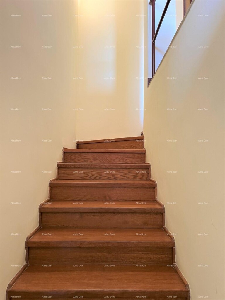 Image 6232402 - 26