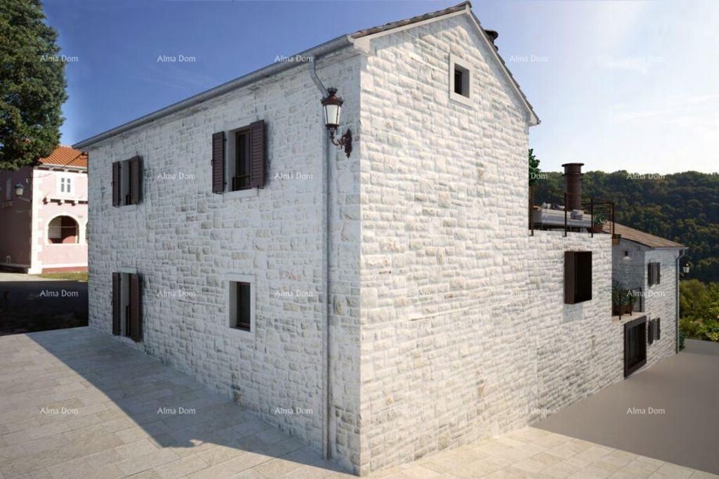 Image 6232413 - 6