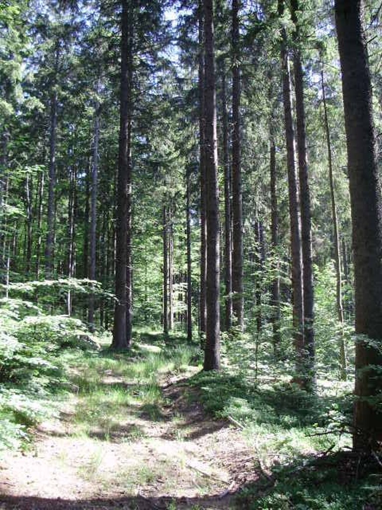 Image 6232617 - 1