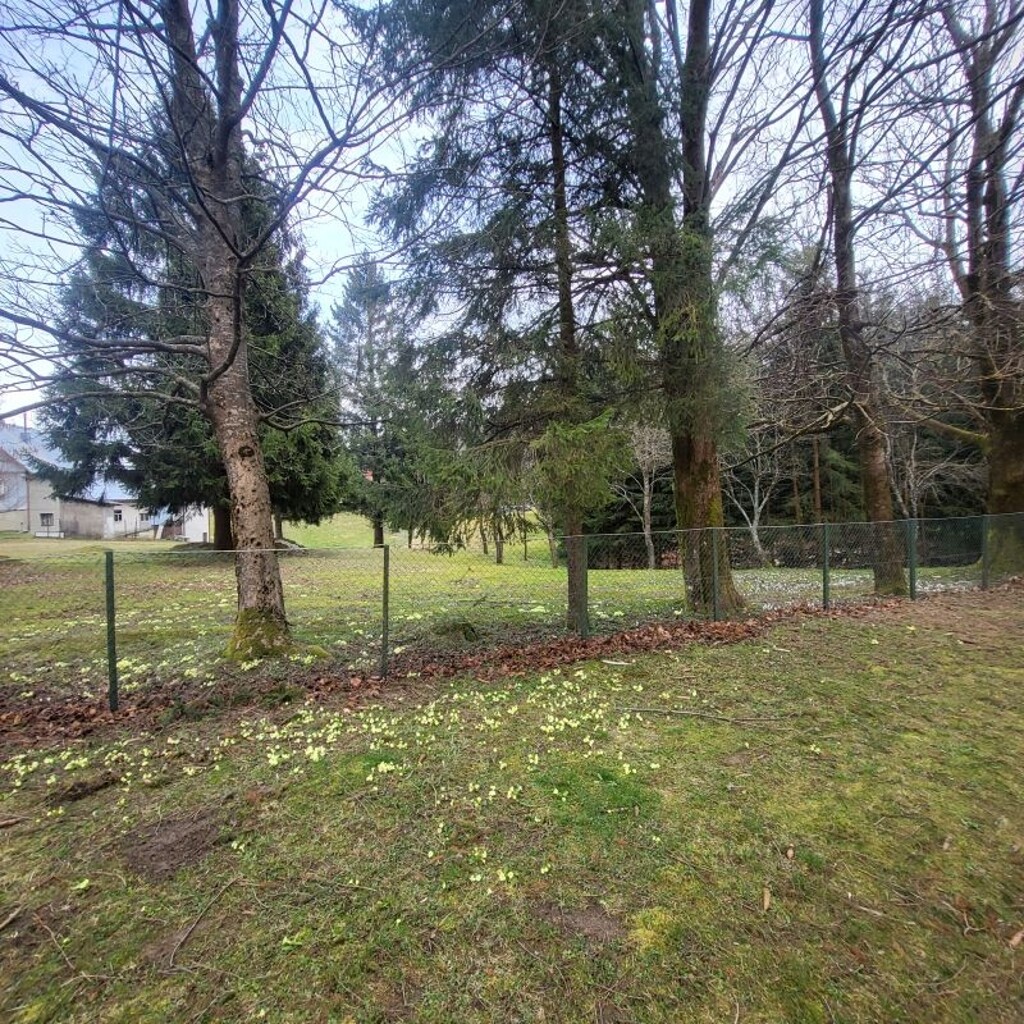 Image 6232619 - 2