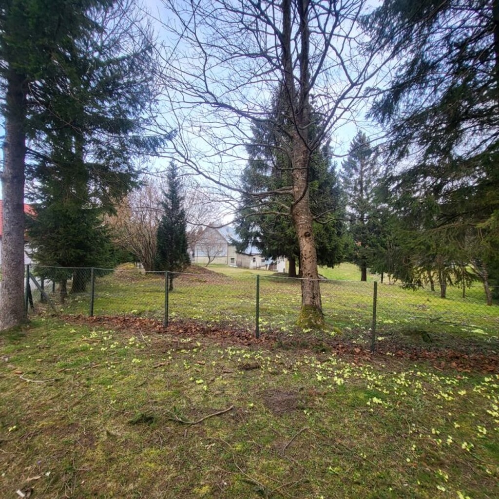 Image 6232619 - 1