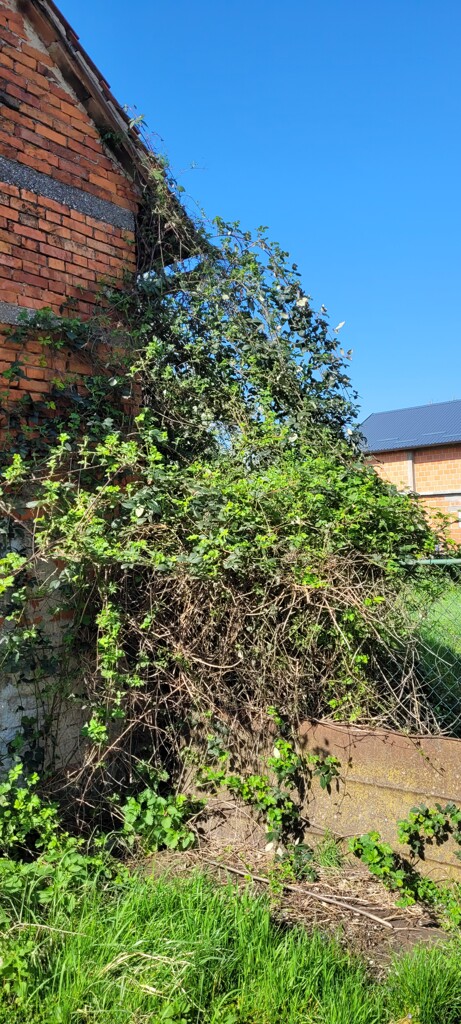 Image 14