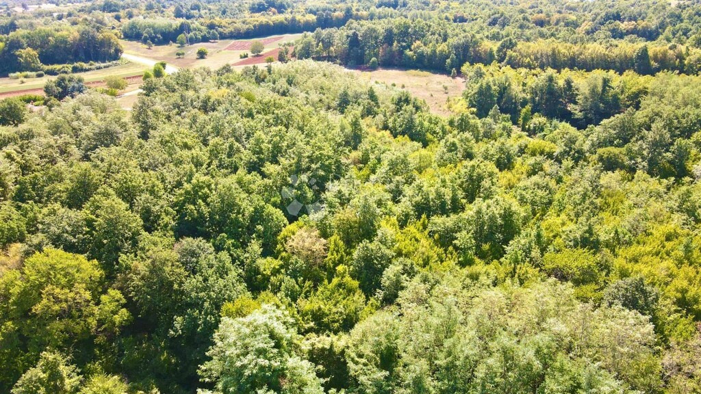 Image 6233005 - 12